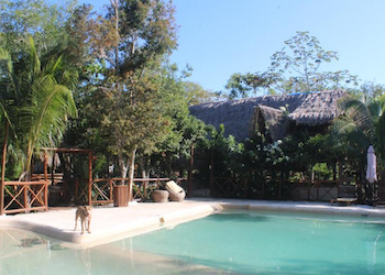 A beautiful jungle resort in Mexico for sale