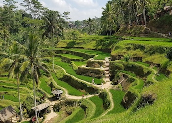 Bali Hotel Deals