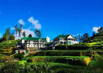 Hotel within Tea Plantage
